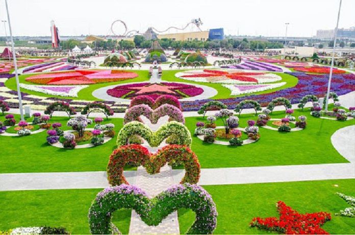 Ảnh 17: Công viên hoa Dubai Miracle Garden đầy màu sắc
