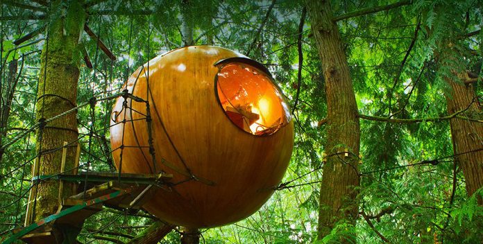 Ảnh 16: Free Spirit Spheres ở Vancouver Island, Canada
