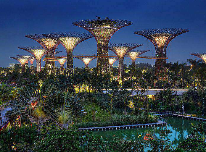 Ảnh 13: Công viên Gardens By the Bay, Singapore lung linh xế chiều