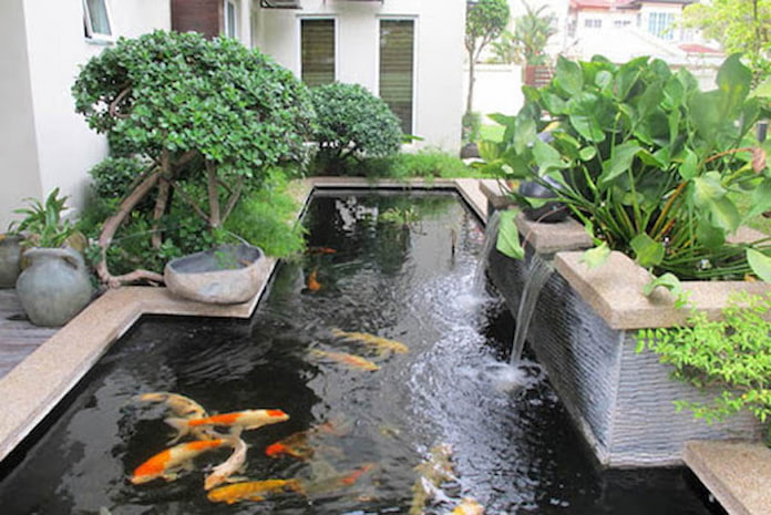 Ảnh 16: Mẫu thiết kế sân vườn của nhà ống với bể cá rất phù hợp cho những người yêu thích sự nhàn nhã