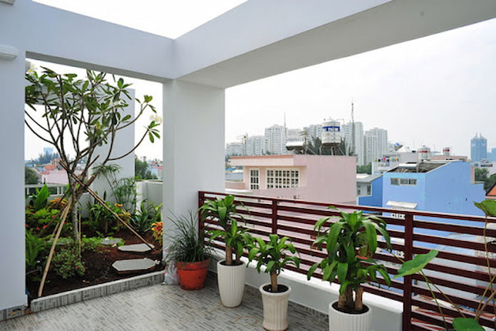 Ảnh 4: Vườn nhỏ trên sân thượng mang đến lợi ích về mặt phong thuỷ cho căn nhà của bạn